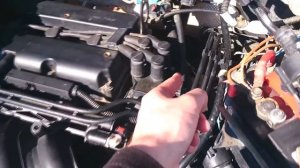 Принцип работы системы охлаждения двигателя (на примере Ford Fusion)