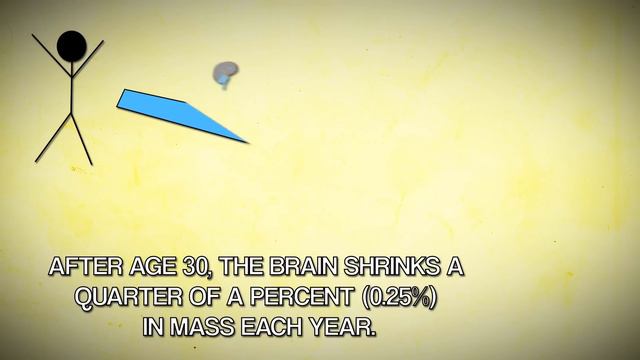 Interesting Facts You Didn’t Know About Your Brain смотреть онлайн