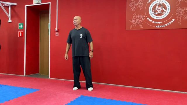 Ицюань Москва / Важные аспекты праактики / Взаимосвязь столбов, Шили, Туйшоу (24.09.22) #13