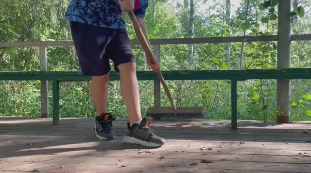 ЛПА Крылатый 2023. Труддесант