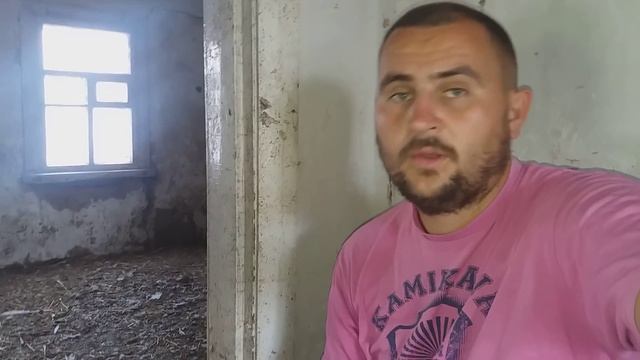 почему гусыня бросила яйца перед выводом ? что произошло ? смотреть онлайн