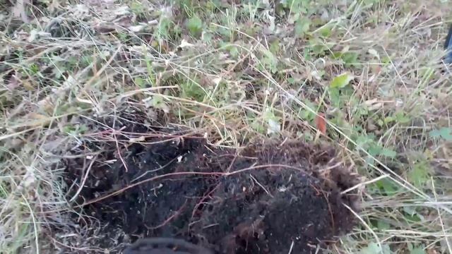 Проехал по покосам. Металлокоп. смотреть онлайн