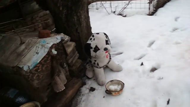 Самый большой пес смотреть онлайн