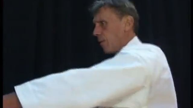 Shito Ryu Karate : Pinan Katas смотреть онлайн