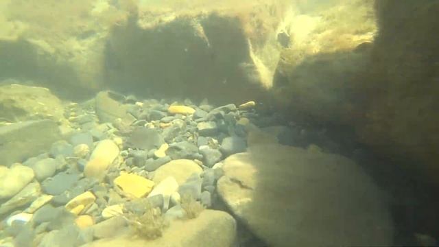 Удивительные тайны Черного Моря смотреть онлайн