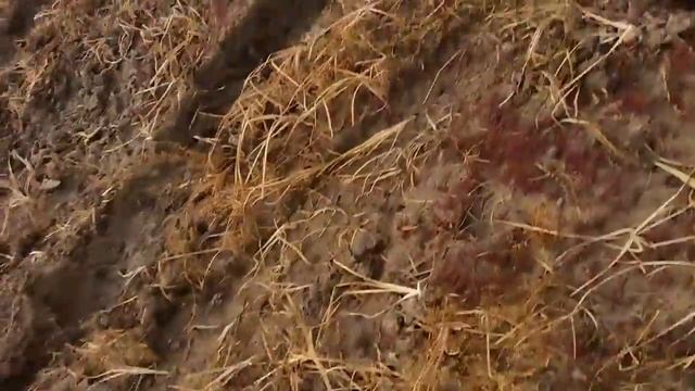 Солончак против L-200 смотреть онлайн