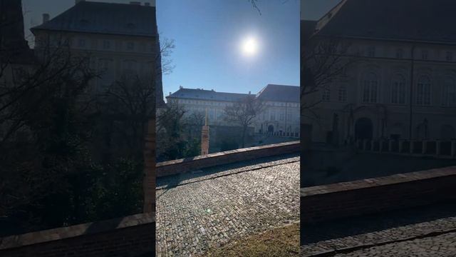 Собор Святого Вита на Пражском граде 🇨🇿❤️ #прага #чехия #влог смотреть онлайн