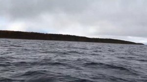 Попали в шторм на лодке пвх в Белом море. Звонили в МЧС. Рыбалка в Сентябре 2021.