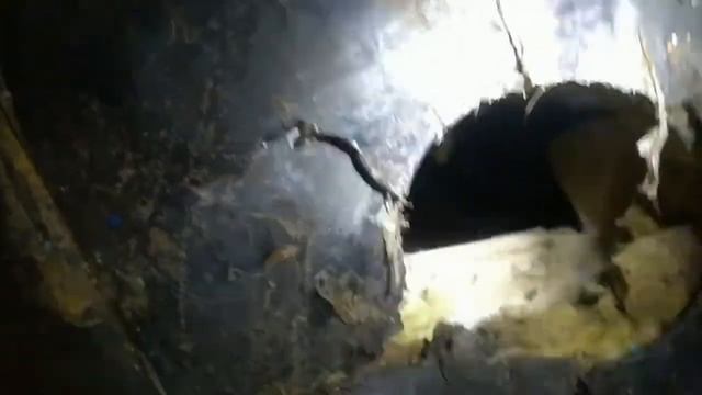 Проблемы в бане после 3 х лет эксплуатации смотреть онлайн