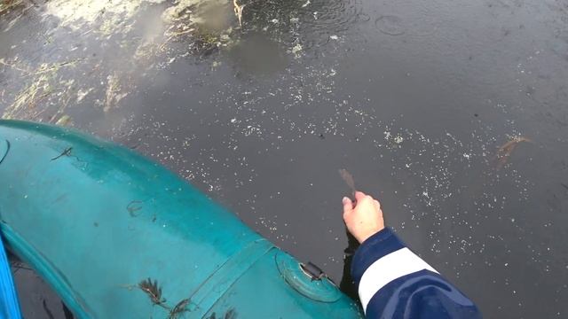 "Щука на живца", река "Осередь". (Живые поклевки, хороший улов!). смотреть онлайн