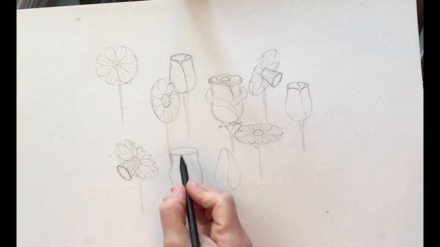 Геометрия цветов смотреть онлайн