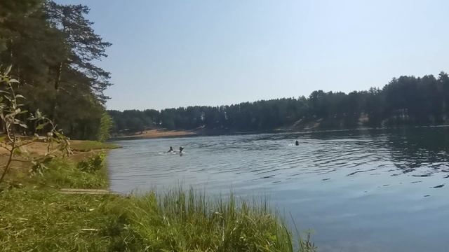 Купальный сезон окончен/ Зачем пилим деревья?/ В лес за богатством смотреть онлайн