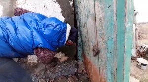 Штукатурка , затирка глиняных стен . Новый метод .