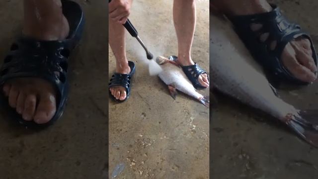 Быстрая чистка рыбы