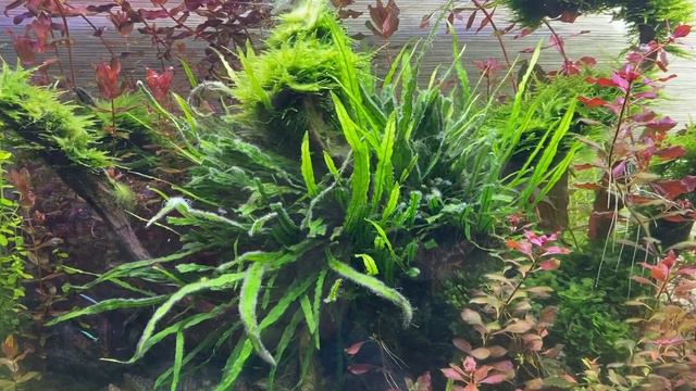 Часть 3- подмена С Праздником 8 Марта!!! смотреть онлайн