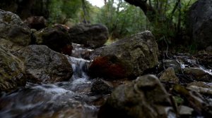 Расслабляющие звуки реки. Горная Ингушетия