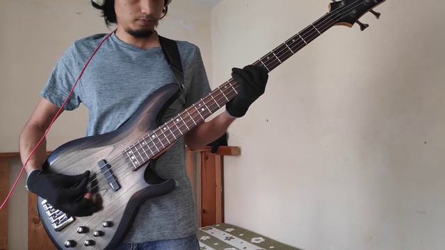Crumb - Trophy (bass cover / instrumental) смотреть онлайн