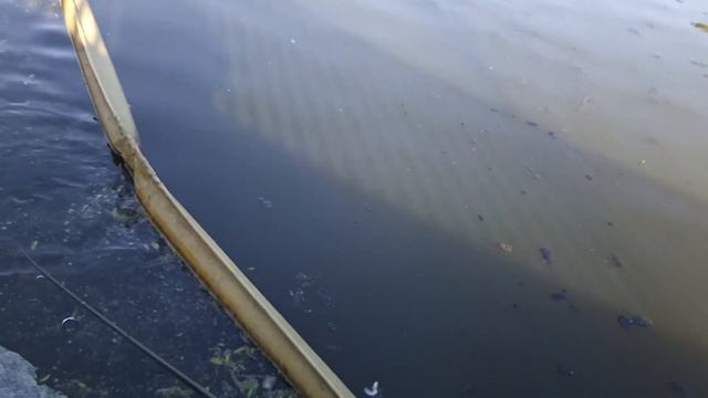 Мормышинг на прудах, Северное Бутово, КабаноОкунь!!!! смотреть онлайн