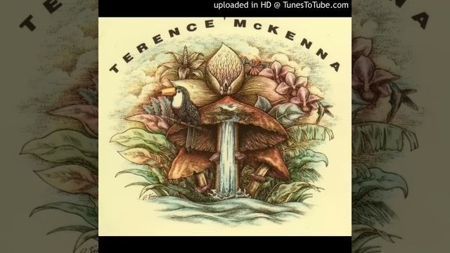 Terence McKenna - This is the Mushroom's Program - The Psychedelic Salon #484 смотреть онлайн