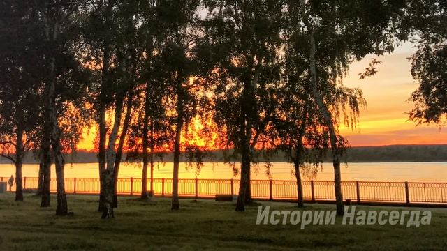 «У меня есть для тебя тоже сюрприз» усмехнулась жена. Удивленный муж зашел в прихожую и… смотреть онлайн