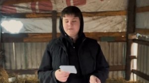 СКОЛЬКО можно ЗАРАБАТЫВАТЬ на Откорме БЫЧКОВ | СЕКРЕТ ВЫГОДНОГО СОДЕРЖАНИЯ ?