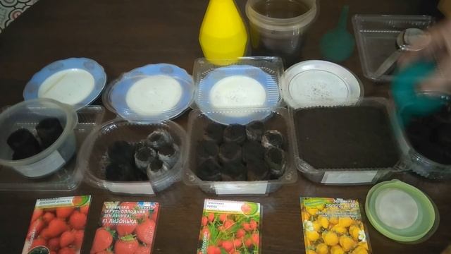 ПОСЕВ СЕМЯН САДОВОЙ ЗЕМЛЯНИКИ ОТ А ДО Я смотреть онлайн