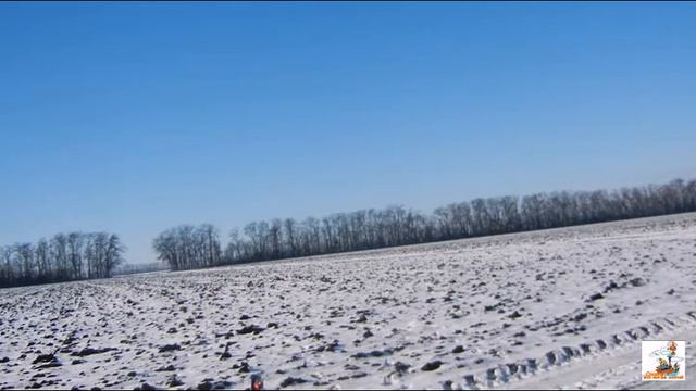 стрельба по тарелочкам с мц 21 12 и мр155 смотреть онлайн