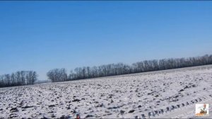 стрельба по тарелочкам с мц 21 12 и мр155