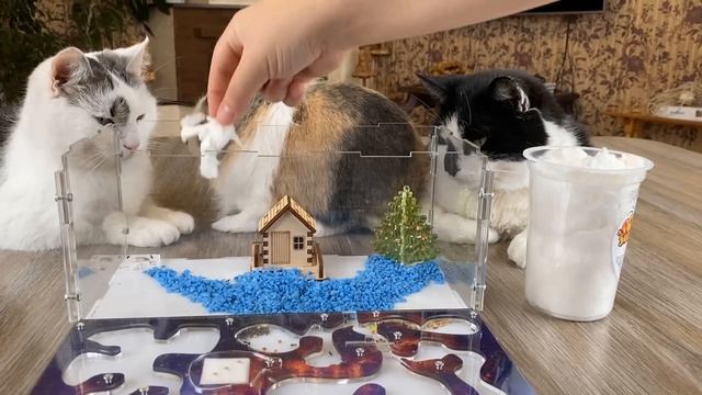 РЕАКЦИЯ МУРАВЬЕВ на СЛАДКУЮ ВАТУ! КОТ МАЛЫШ и ИДЕАЛЬНЫЙ ПОДАРОК НА НОВЫЙ ГОД смотреть онлайн