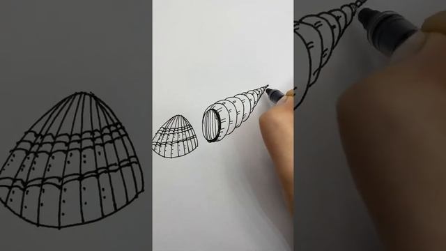 Как нарисовать ракушку. Милые ракушки рисуем просто. смотреть онлайн