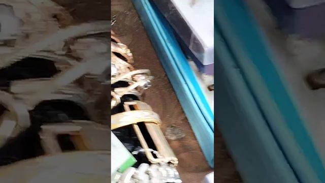 16 февраля 2024 г. видио номер 4 смотреть онлайн