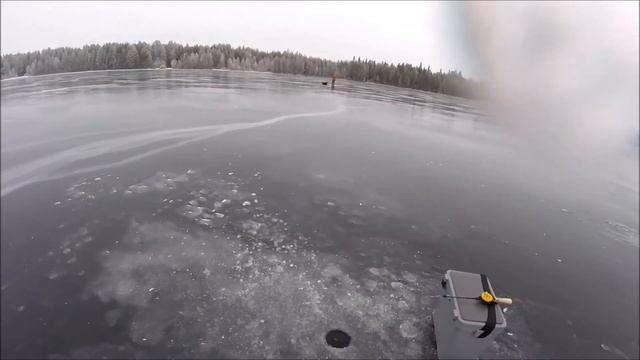 Лёд как стекло, ловим окуня смотреть онлайн