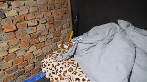 VLOG Ночь в подвале. Ругаемся с Костей