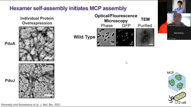 SynBYSS with Dr. Clem Fortman at BioMADE & Dr. Carolyn Mills at Northwestern University. смотреть онлайн