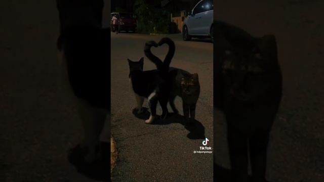 ОТПРАВЬ ТОМУ ЧЕЛОВЕКУ КОТОРОГО ОЧЕНЬ СИЛЬНО ЛЮБИШЬ..)? смотреть онлайн