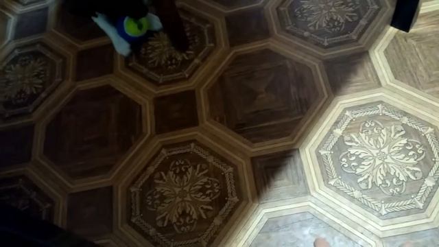 Щенок гладкошерстный фокстерьер Elis 2 месяца играем с мячом/ Puppy smooth Foxterrier Elis 2 month смотреть онлайн