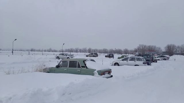 Багги букс , часть первая. смотреть онлайн