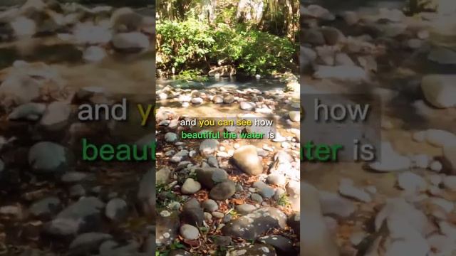Discover the Unseen Beauty Hiking to the Waterfall and Conquering the Colorado River in Costa Rica смотреть онлайн