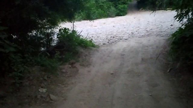 Вечерняя прогулка Хорры к высохшей реке смотреть онлайн