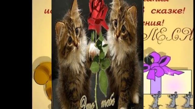 С днём рождения Алеся. смотреть онлайн