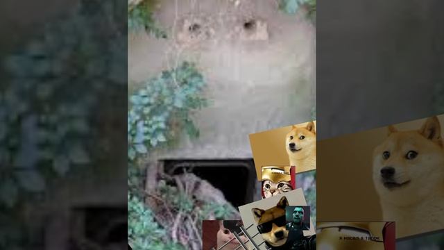 9 часть злых шлеп план по спасению мира финал part 1 смотреть онлайн