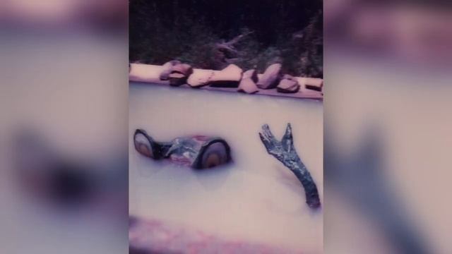 The Murray Bridge, Ettamogah, and Big Banana Bunyip animatronics | An Introduction To | смотреть онлайн