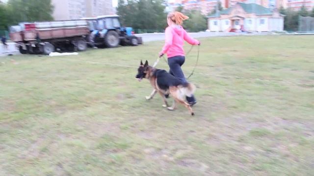 Де Орсе Мак Флай Зе Луиз смотреть онлайн