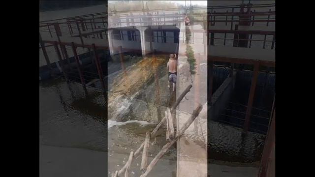 Липецкая обл. река. Пальна 2022 смотреть онлайн