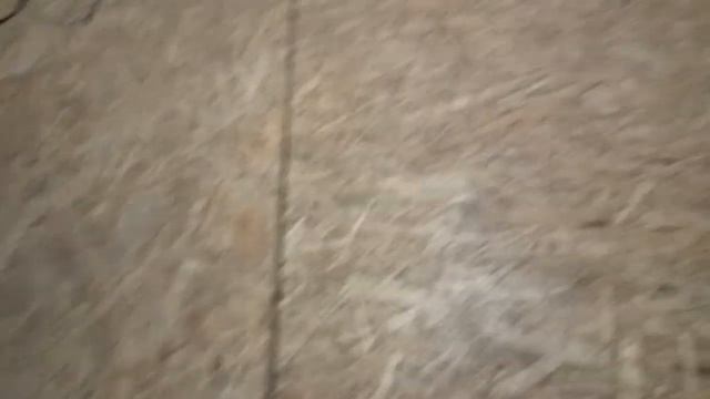 Пол из ковролина на кухне