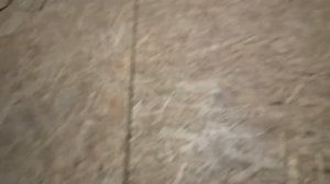 Скрипит ОСБ на полах