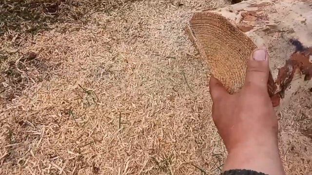 Плахи на пол ?? смотреть онлайн