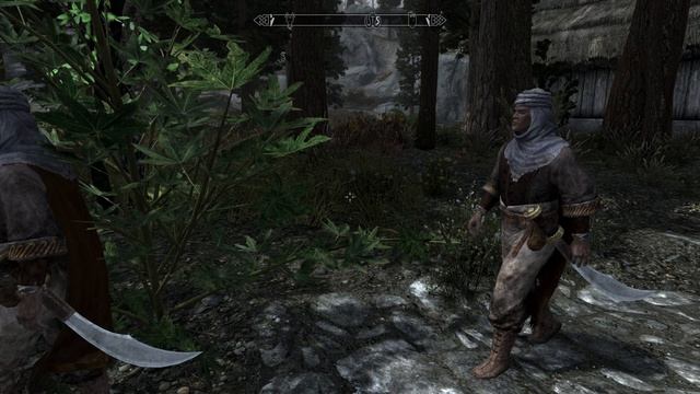 Skyrim SE ч2 Продолжаемс тесты сборки модов