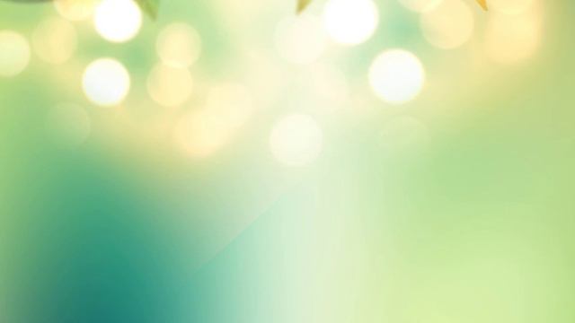 Занимательная викторина о растениях (часть3) смотреть онлайн