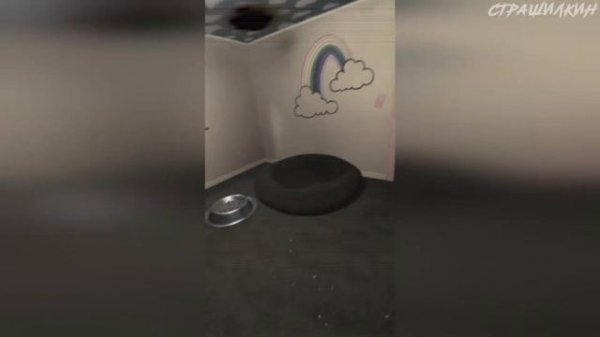 Белый Мультяшный Кот | White Cartoon Cat